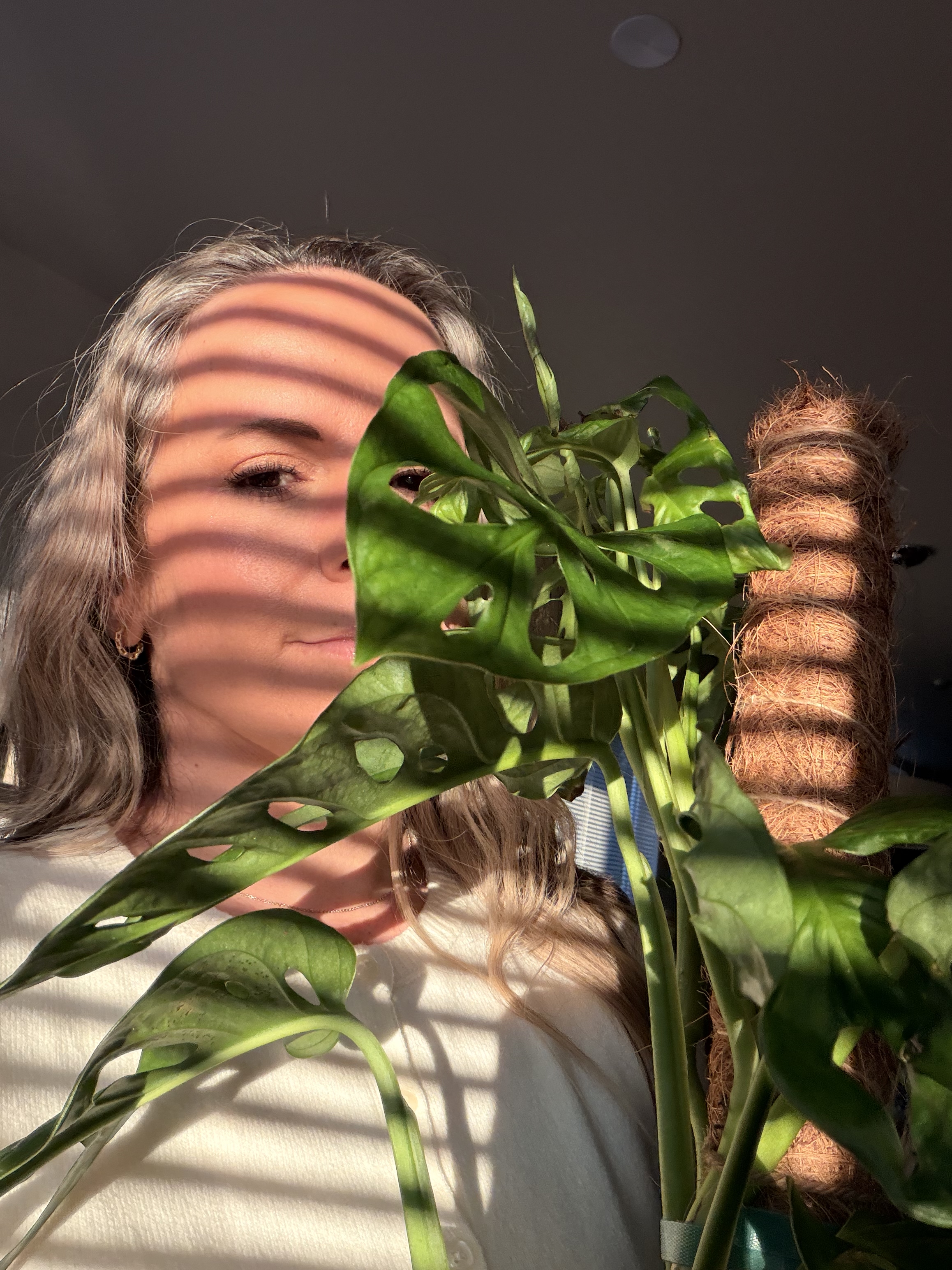 Magui — Mags Jungle